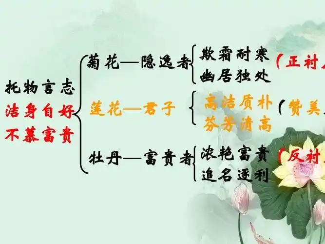 《爱莲说》笔记ppt