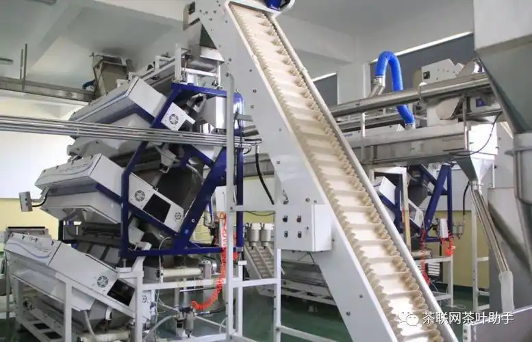 寻茶第一期香江茗苑探秘武夷岩茶之旅