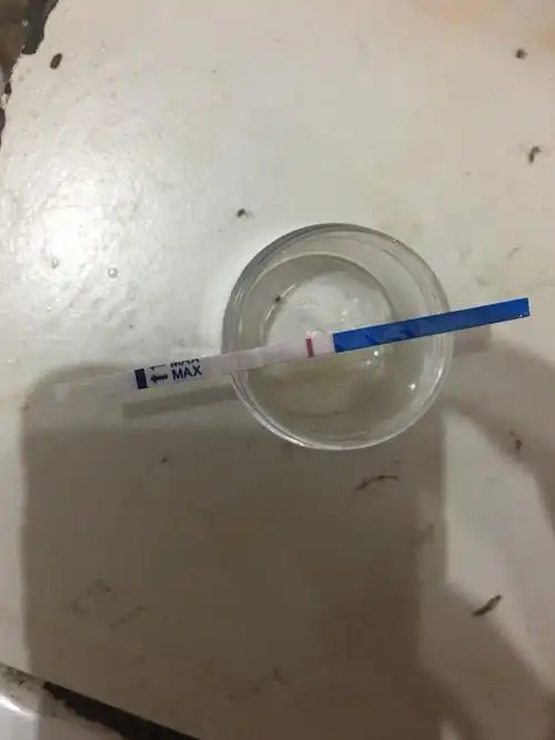 早孕试纸测试怀孕的时间及使用方法"喜气洋洋"-第1张图片-途威网