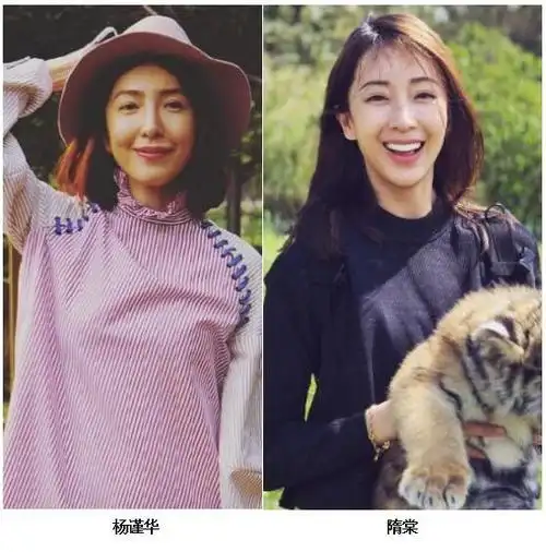 杨谨华和隋棠好像对比照 隋棠老公做什么的多少岁了