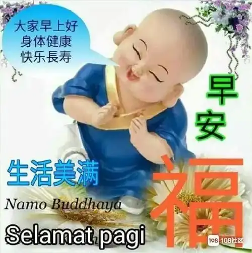 醒来就在108逛了一圈,友友们早上好