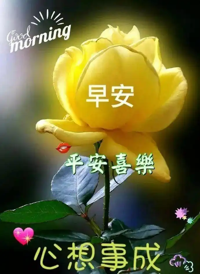 2019特漂亮的清晨早上好问候图片最新版早上好短信问候祝福语大全
