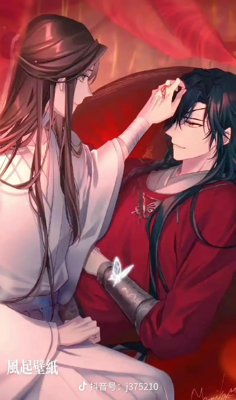 天官赐福#天官赐福壁纸 #花怜 - 抖音