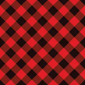 红黑经典樵夫格子花纹照片