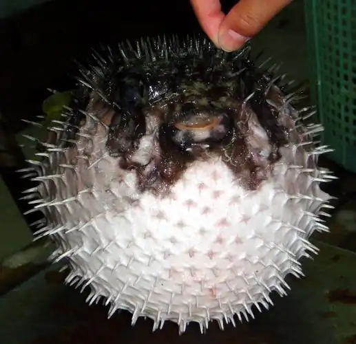 吹吹海风 发发呆