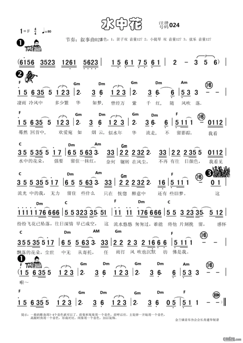 傻瓜式电子琴谱《水中花》