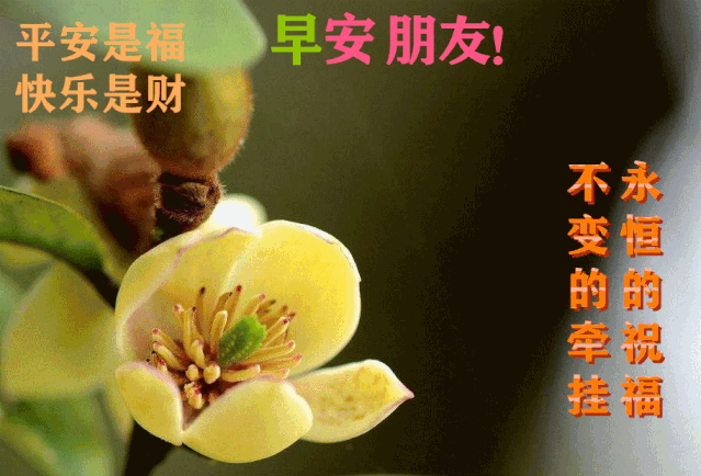 639_434gif 动态图 动图