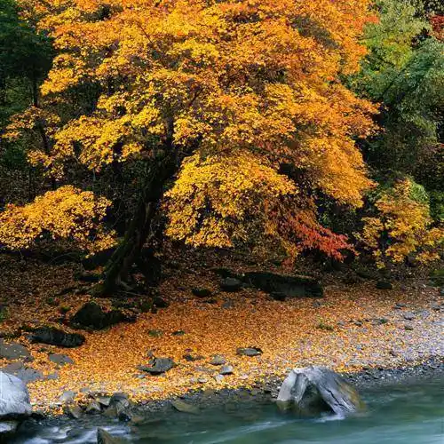 大自然的美干净治愈山水风景微信头像图片2022最新款_导读_标题_文章