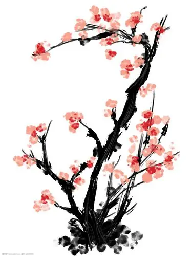 手绘梅花花枝插画图片-图行天下图库