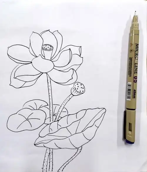 幼师考编青蛙主题画90池塘边蜻蜓荷花幼师简笔画蜻蜓怎么样