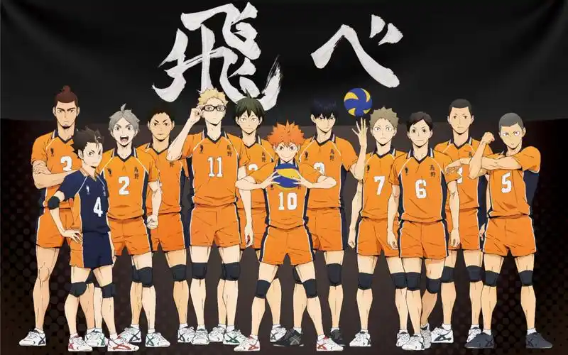 排球少年——日向翔阳