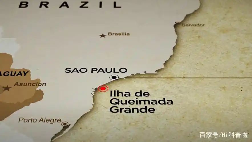 离死亡最近的海岛,巴西蛇岛毒蛇遍地,为生存进化出5倍剧毒