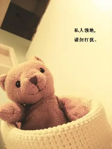 帮忙 找个 "私人领地 请勿打扰"的图片 简单的就好 不要,太复杂的