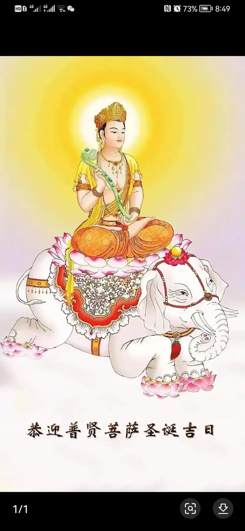 农历二月廿一 恭迎普贤菩萨圣诞 值此殊胜之日 诵经念佛,戒杀 - 抖音