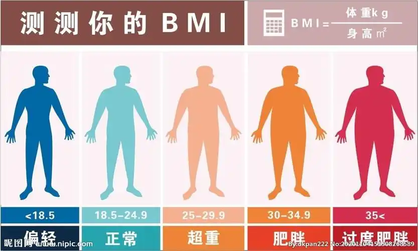 bmi指标对照表图片