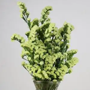 云南鲜花花束勿忘我鲜花情人草水晶草家用干花束装饰用花基地直发