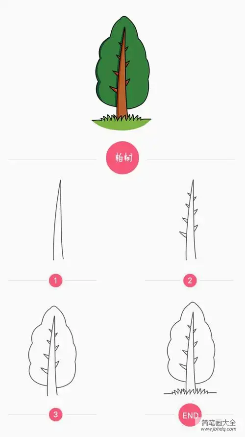 柏树简笔画画法
