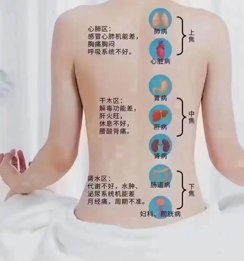 女生为什么要养肾一一芳香疗愈定制