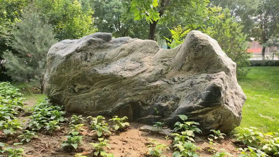 南高基公园观赏石集锦jss