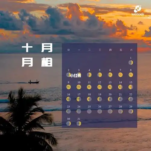 叮这是本月的月相日历