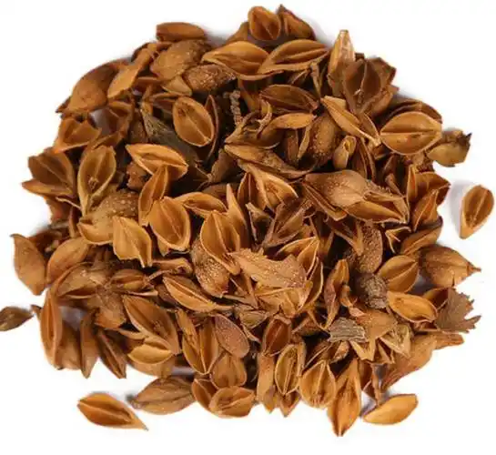 痤疮—肺热阴虚型方药详解