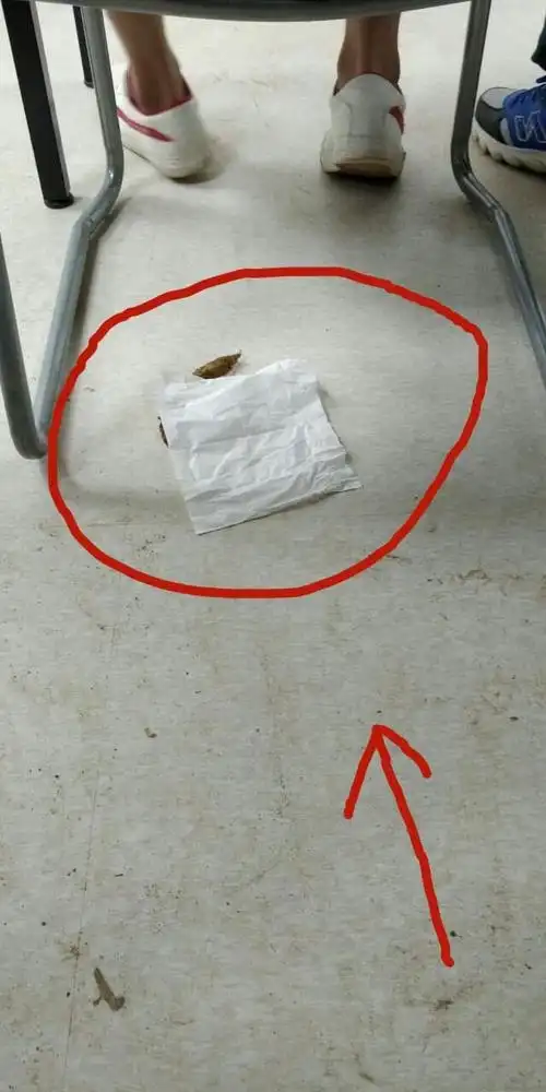 初中生在教室拉大便网友不相信自己的眼睛