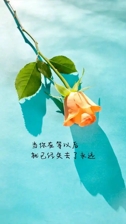 个性简约非主流图文高清带文字语录图片