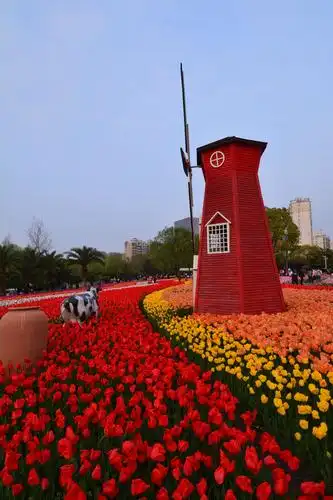 上海静安大宁郁金香公园