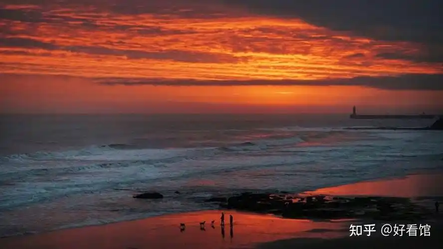 黎明手机壁纸高清壁纸黎明年轻高清壁纸黎明图片风景林心如壁纸图片