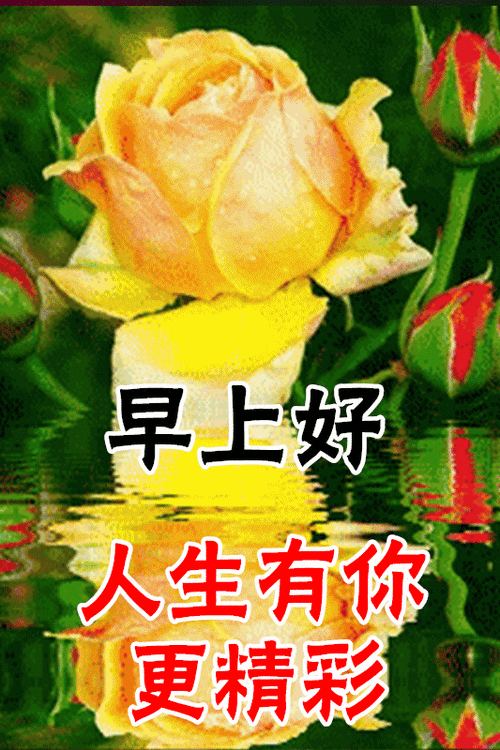 有创意的朋友圈早上好问候祝福表情图片带字