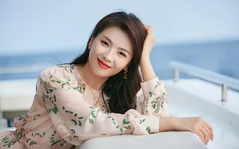 刘涛| 大陆女星 | 明星档案 | 华视娱乐传媒(广州)有限公司