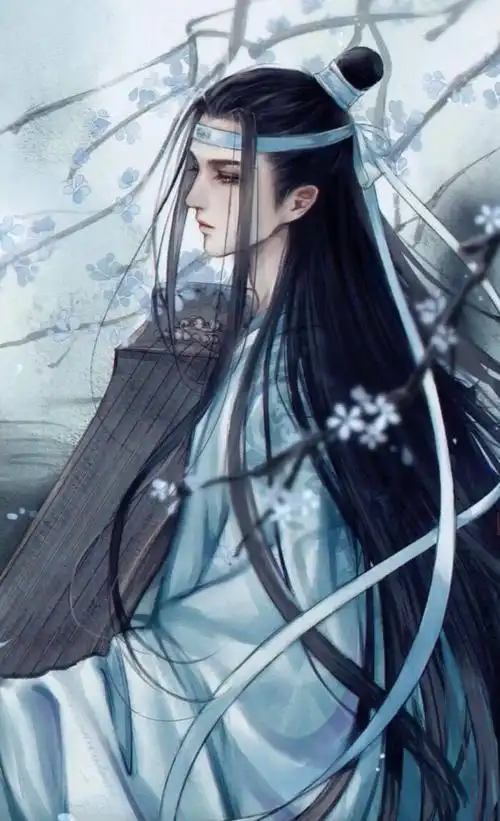 蓝忘机图片 魔道祖师蓝忘机图片动漫_布阁拉