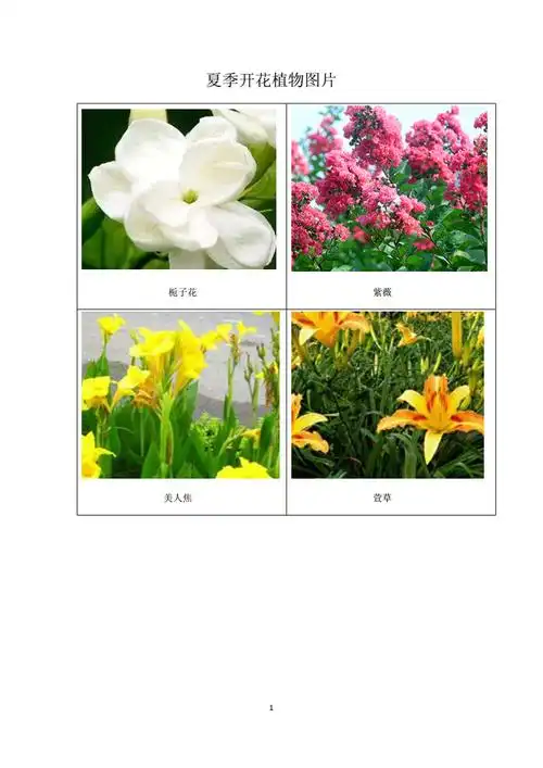 常见夏季开花植物图片.docx
