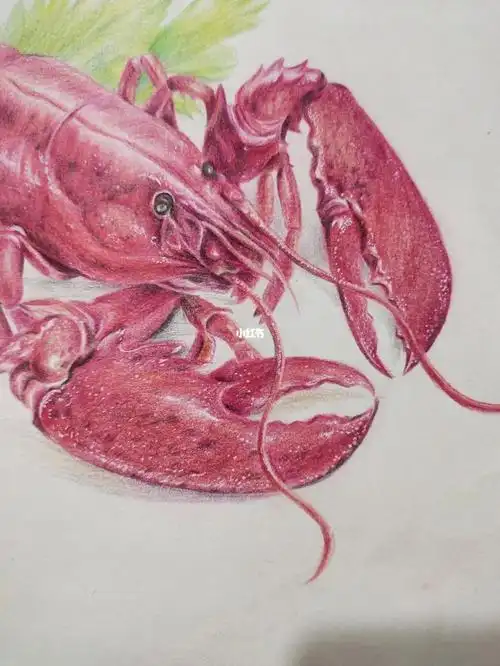 画小了好多细节没办法细画了彩铅龙虾