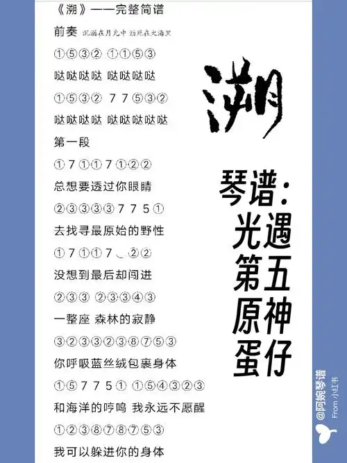 琴谱溯光遇第五原神蛋仔