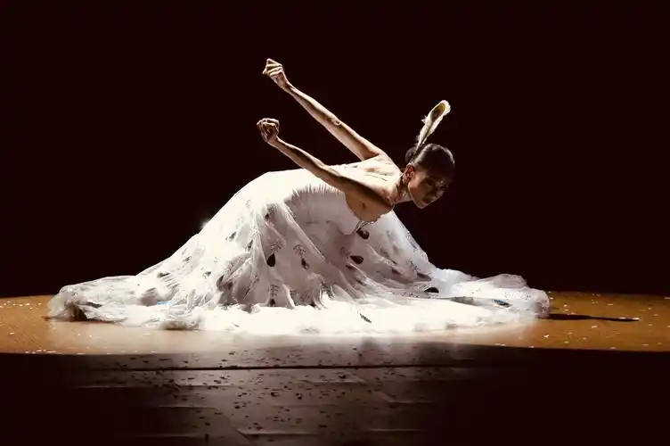 首发〕杨丽萍舞台艺术之美