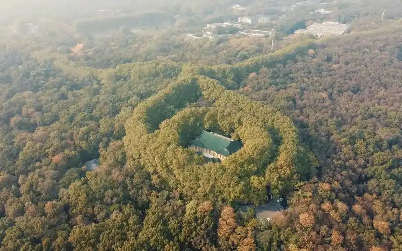 属于南京秋天的浪漫,美龄宫!