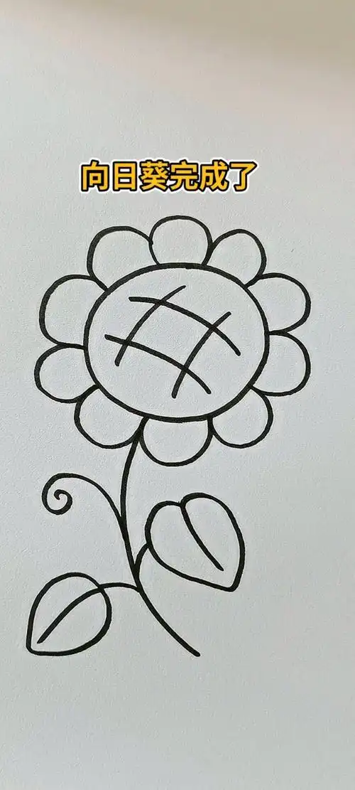 这样画向日葵特别简单