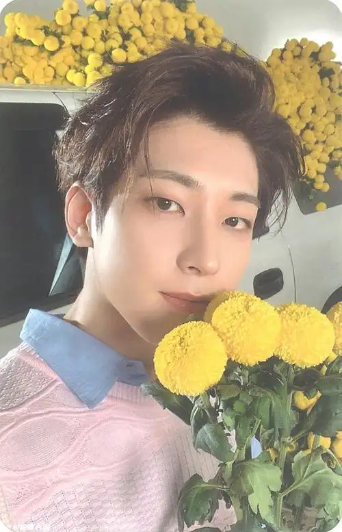 安利全圆佑美自拍图楼