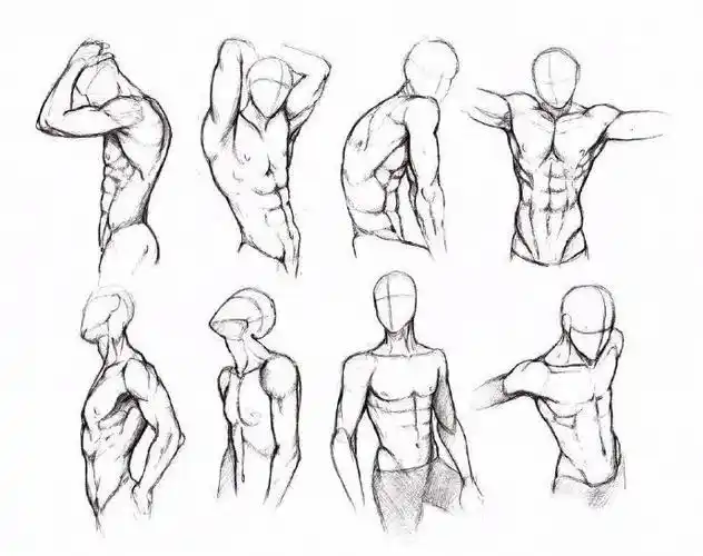 v漫计划##绘画参考#人体肌肉