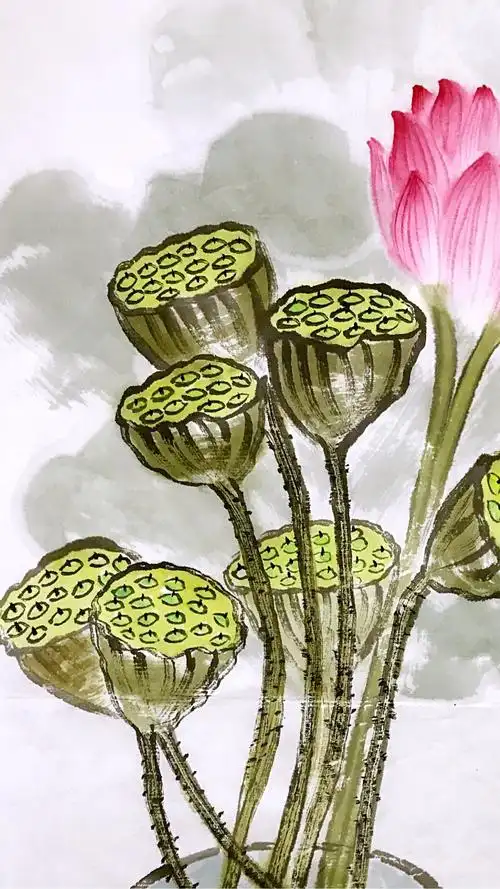 小白帆国画～夏日絮语画(话)莲蓬》