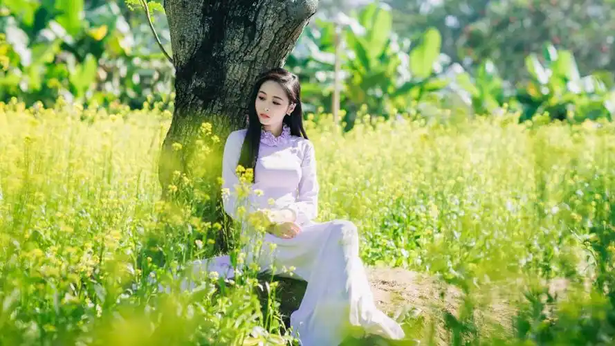 树下坐着的清纯养眼美女4k壁纸