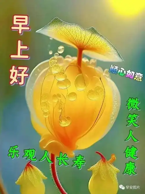 11月4日早安漂亮图片温馨问候祝福语大全周末愉快