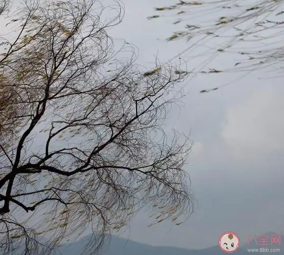 起大风搞笑发朋友圈句子 刮大风幽默配图句子