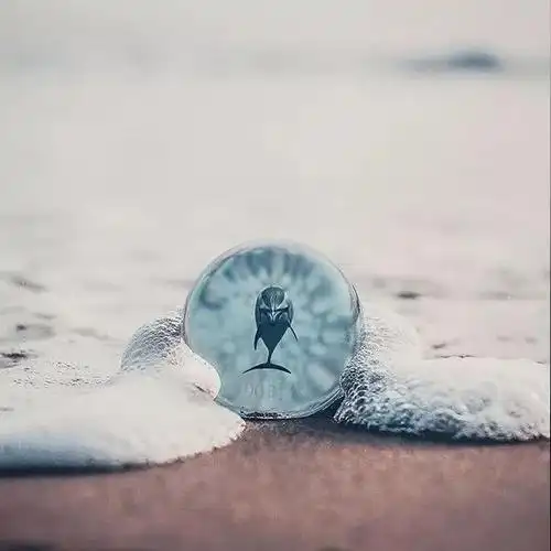 有品位的男人微信头像