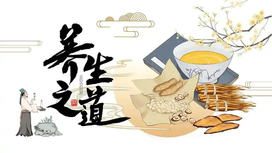 中医养生之道介绍ppt课件