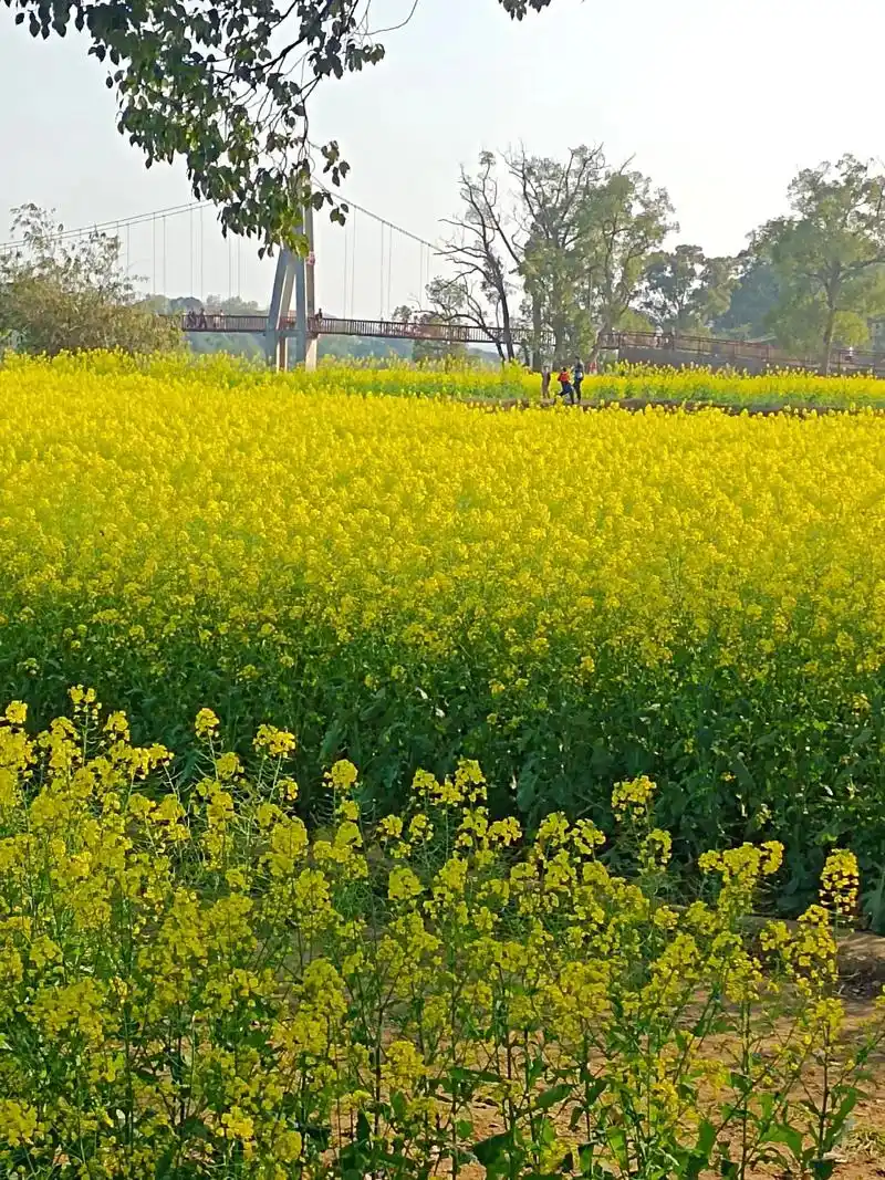 天气晴朗阳光明媚 #每天都记录我的农村真实生活日常 #感受 - 抖音