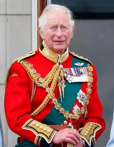 历史与未来:英国王室面临的挑战,君主制能否延续