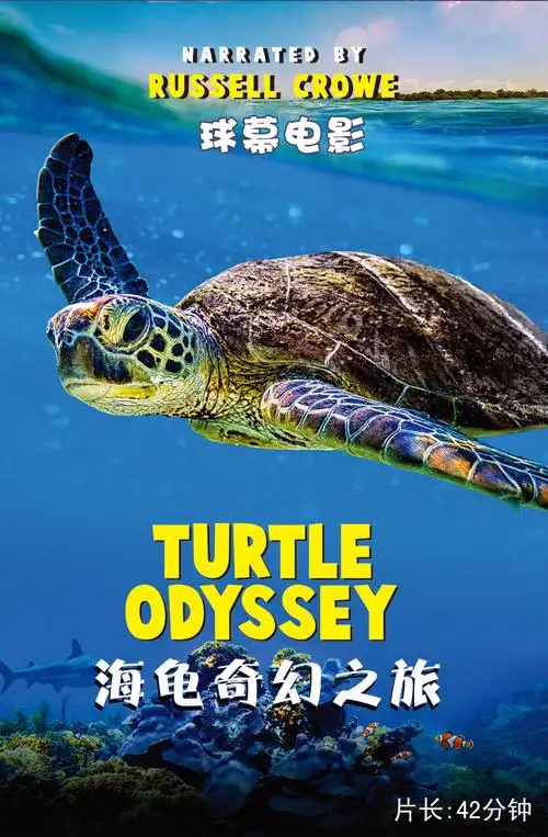 一起聆听海龟与南极大陆的故事!