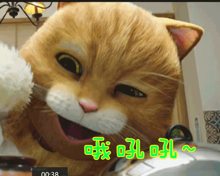 喵星人哦吼吼~gif动图_动态图_表情包下载_soogif